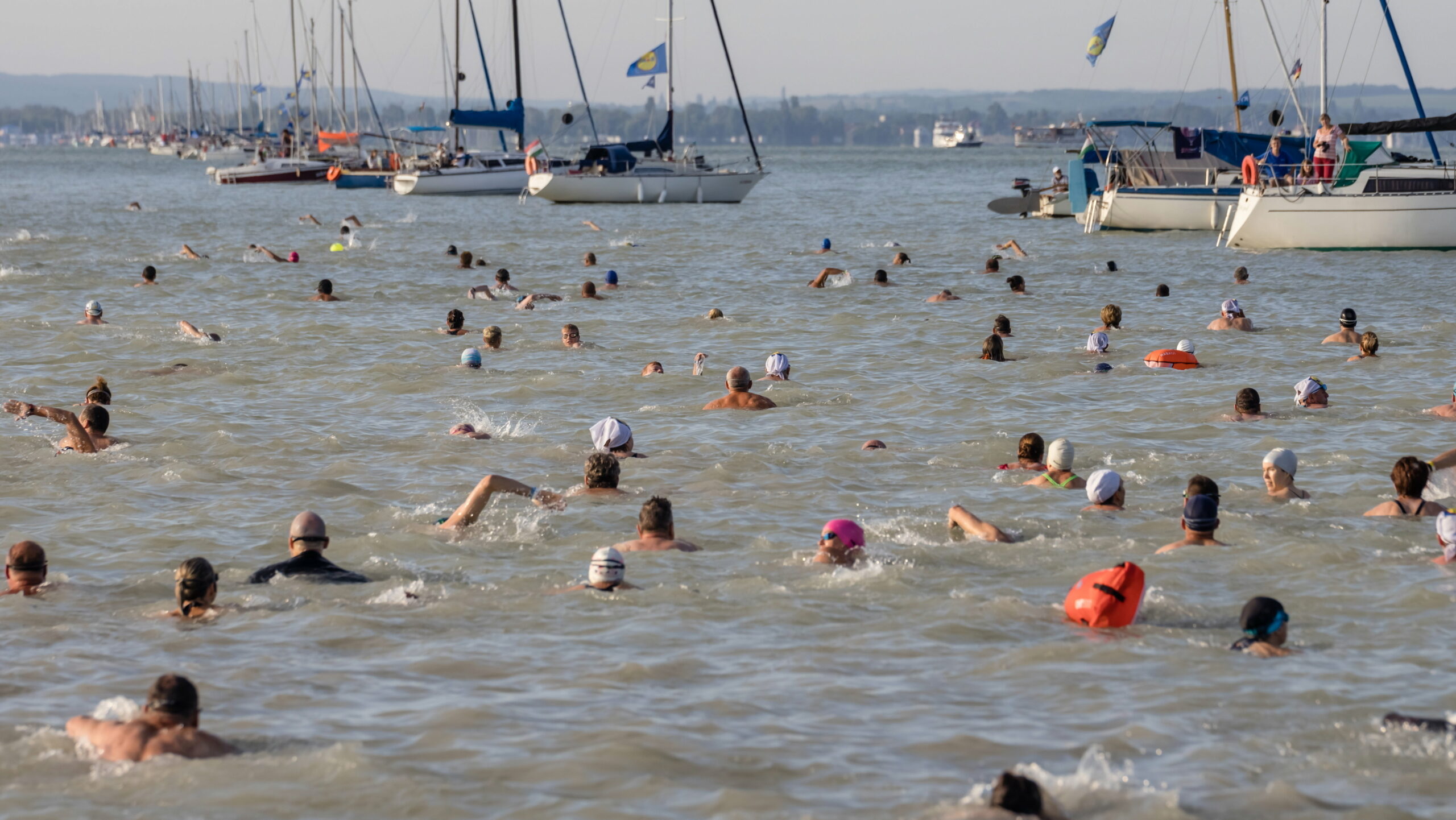 Kezdhetünk készülni a Balaton-átúszásra