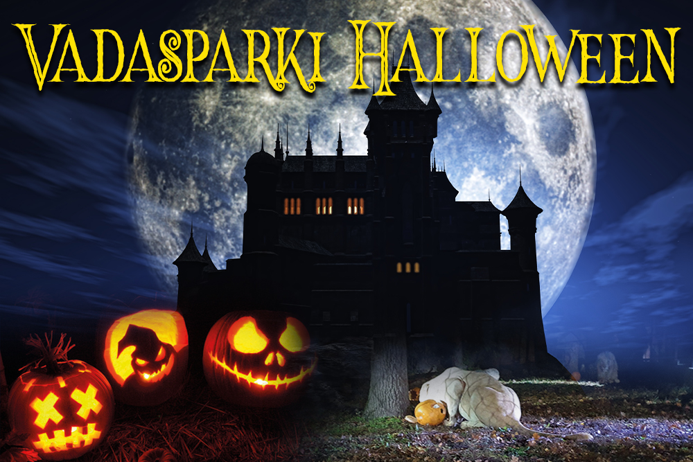 Hétfőn halloween programokkal vár a Szegedi Vadasparkban