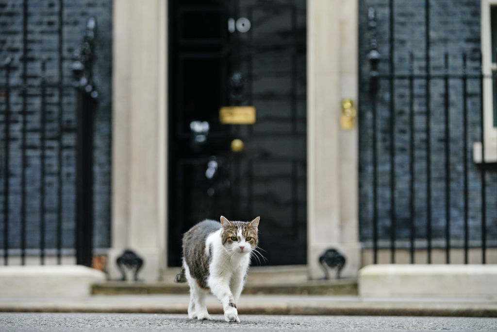 Larry macska már a hatodik "főbérlőjét" fogadja a Downing Streeten