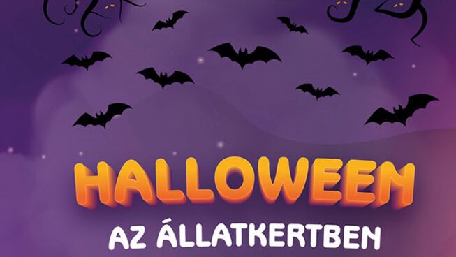 Péntek este Halloween az Állatkertben