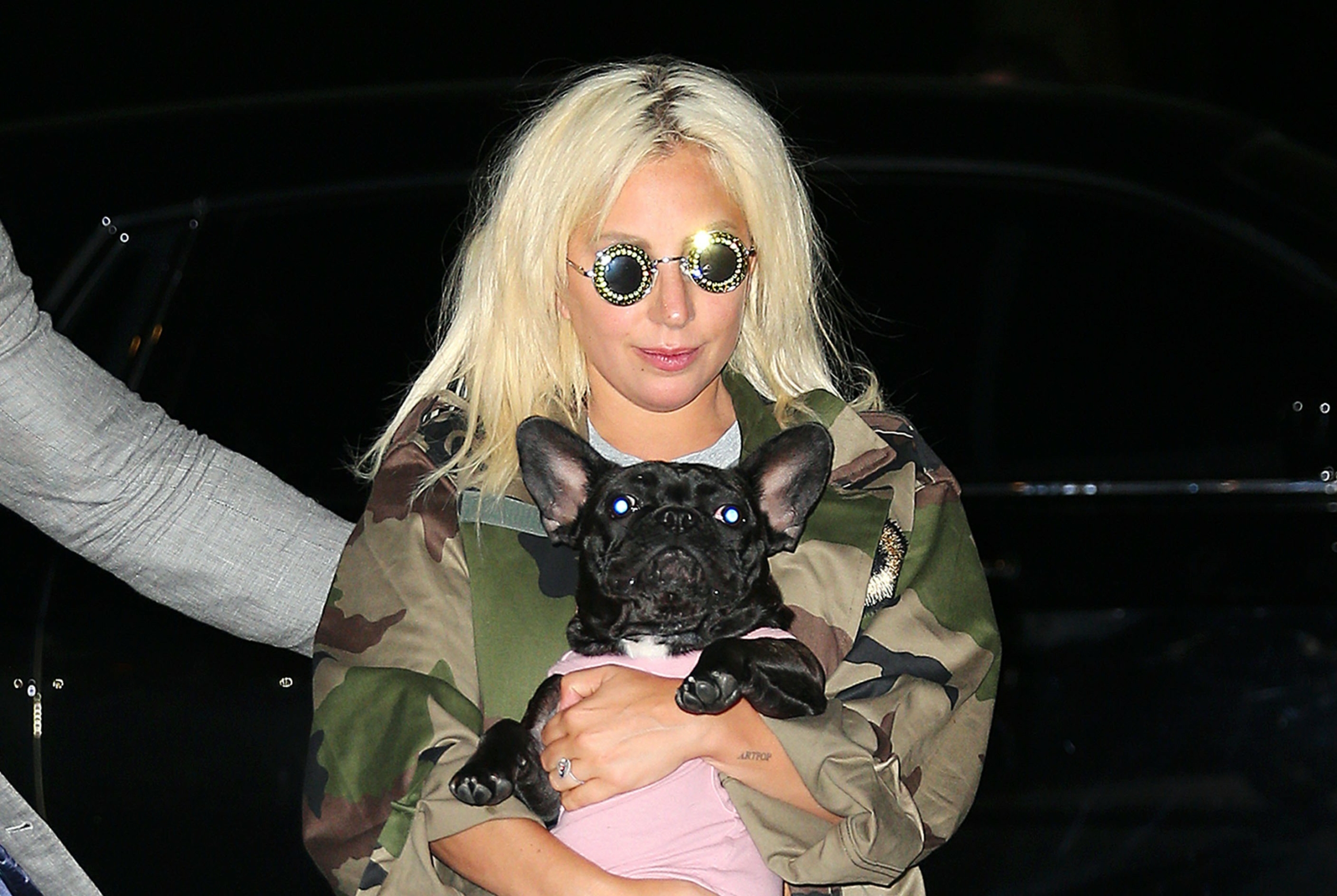 Lady Gaga nem hajlandó kifizetni a jutalmat a kutyája megtalálójának