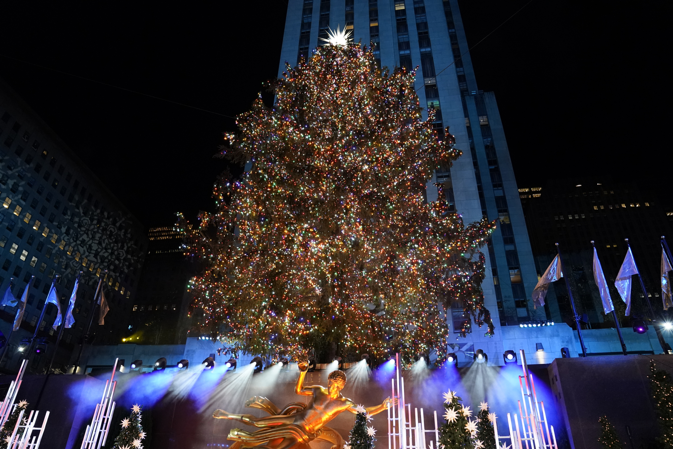 Kiválasztották a Rockefeller Center karácsonyfája