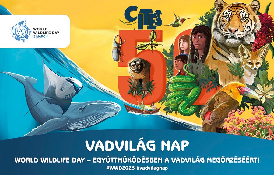Az Állatkertben is a vadvilág világnapját ünneplik ma