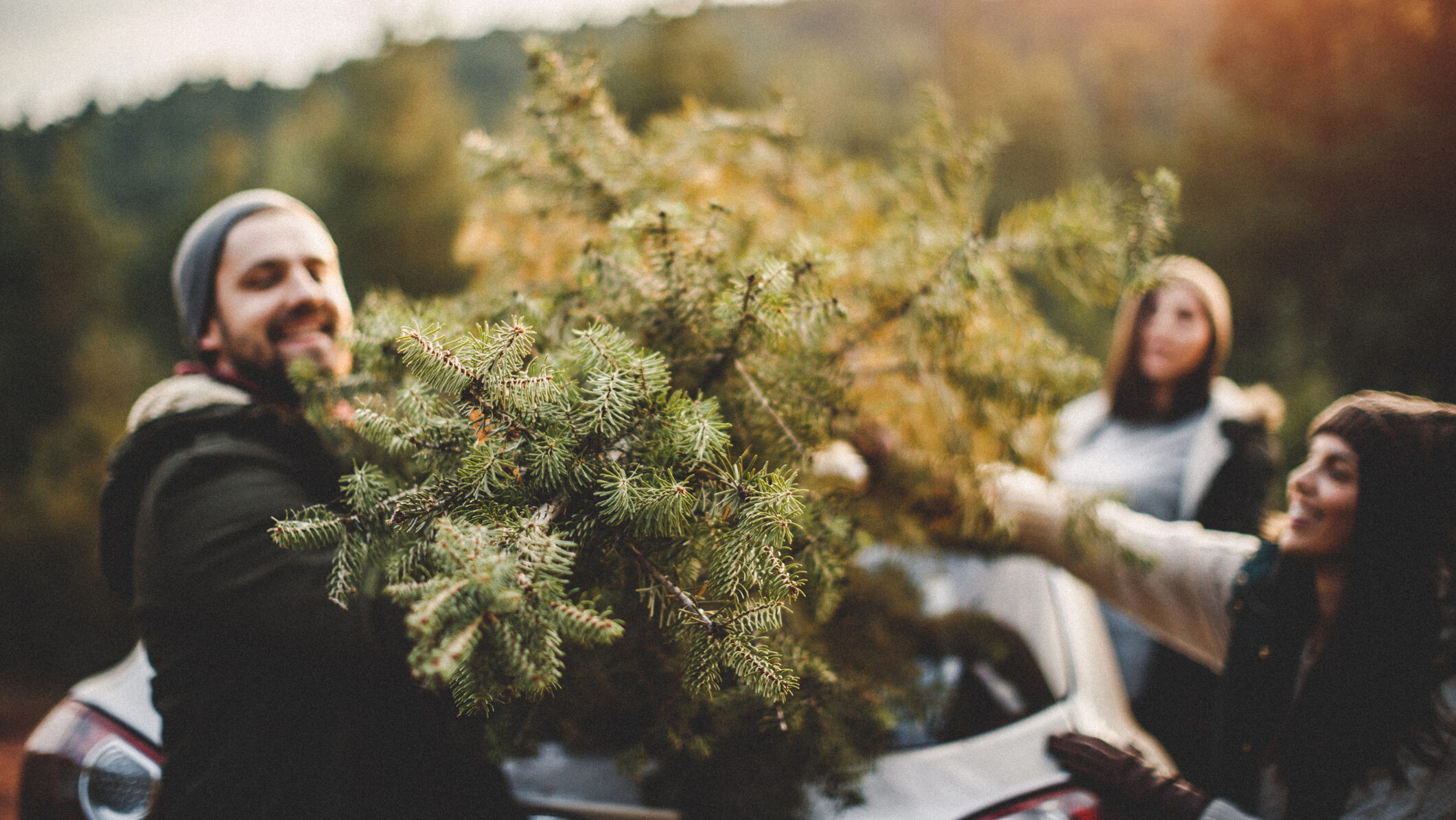 Ökológiai szempontból jobb a valódi fenyőfa, mint a műfenyő