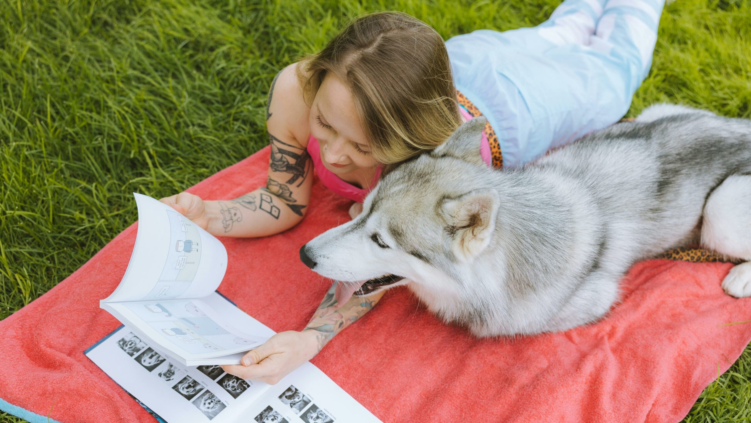 A kutyák az emberekhez hasonlóan értik a szavakat