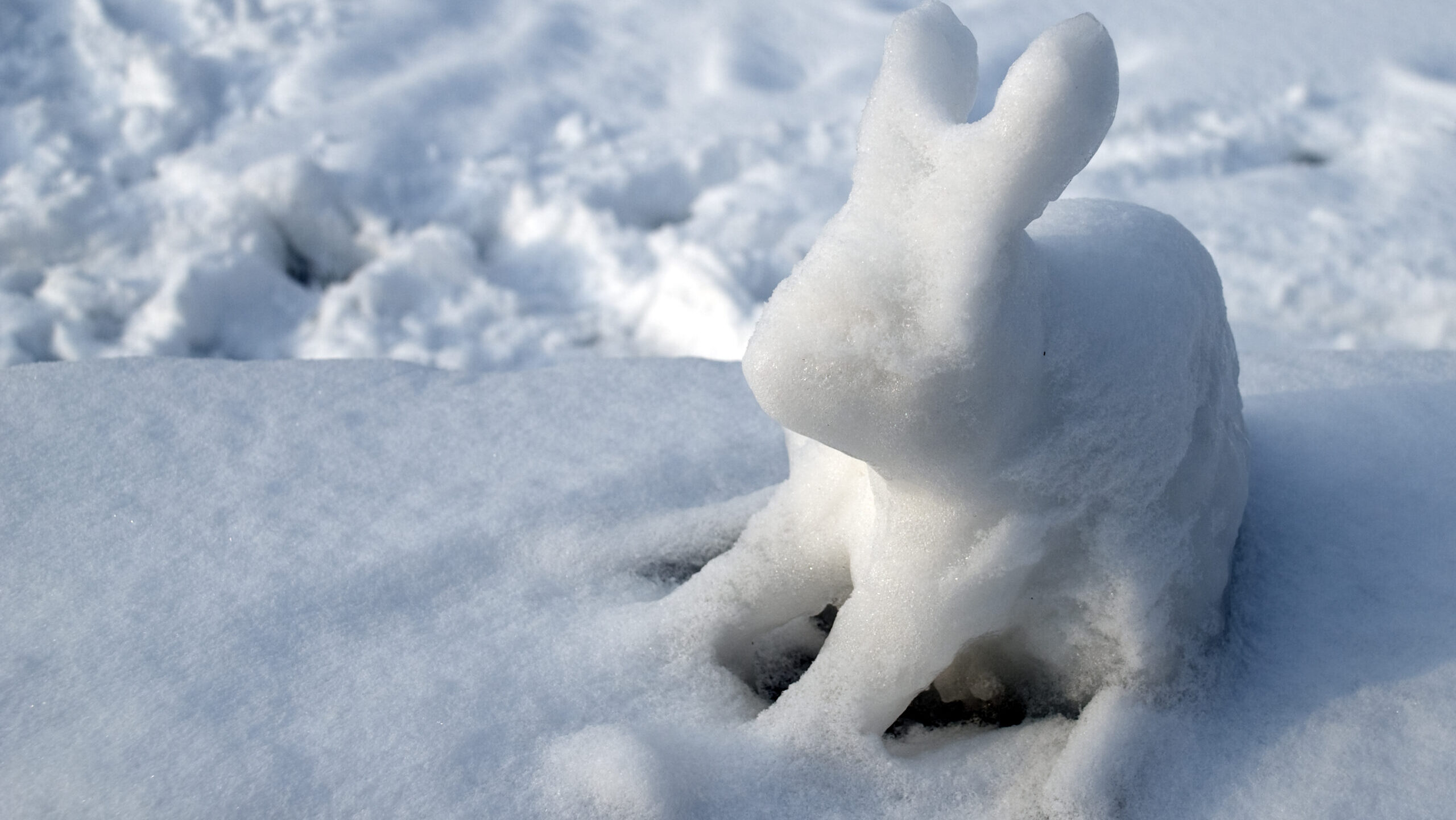 Hóember- és hóállatépítő versenyt rendeznek a Budakeszi Vadasparknál