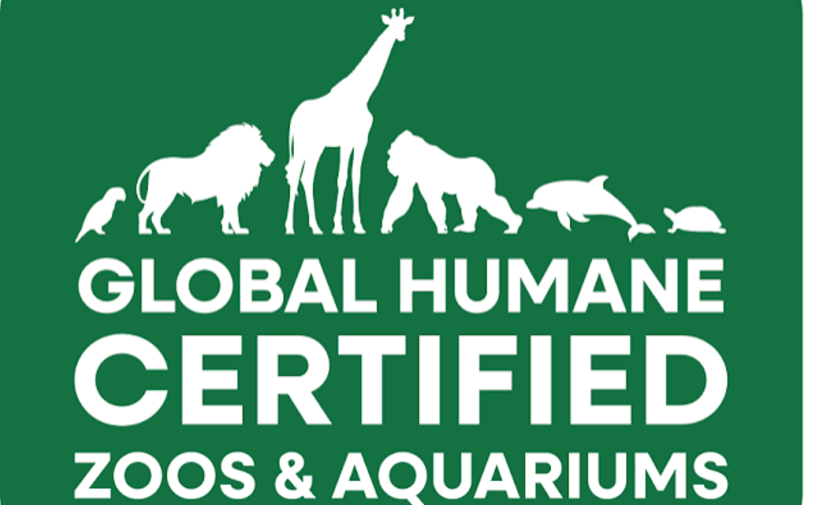 A Budapesti Állatkert elnyerte a Global Humane Certified™ minősítést