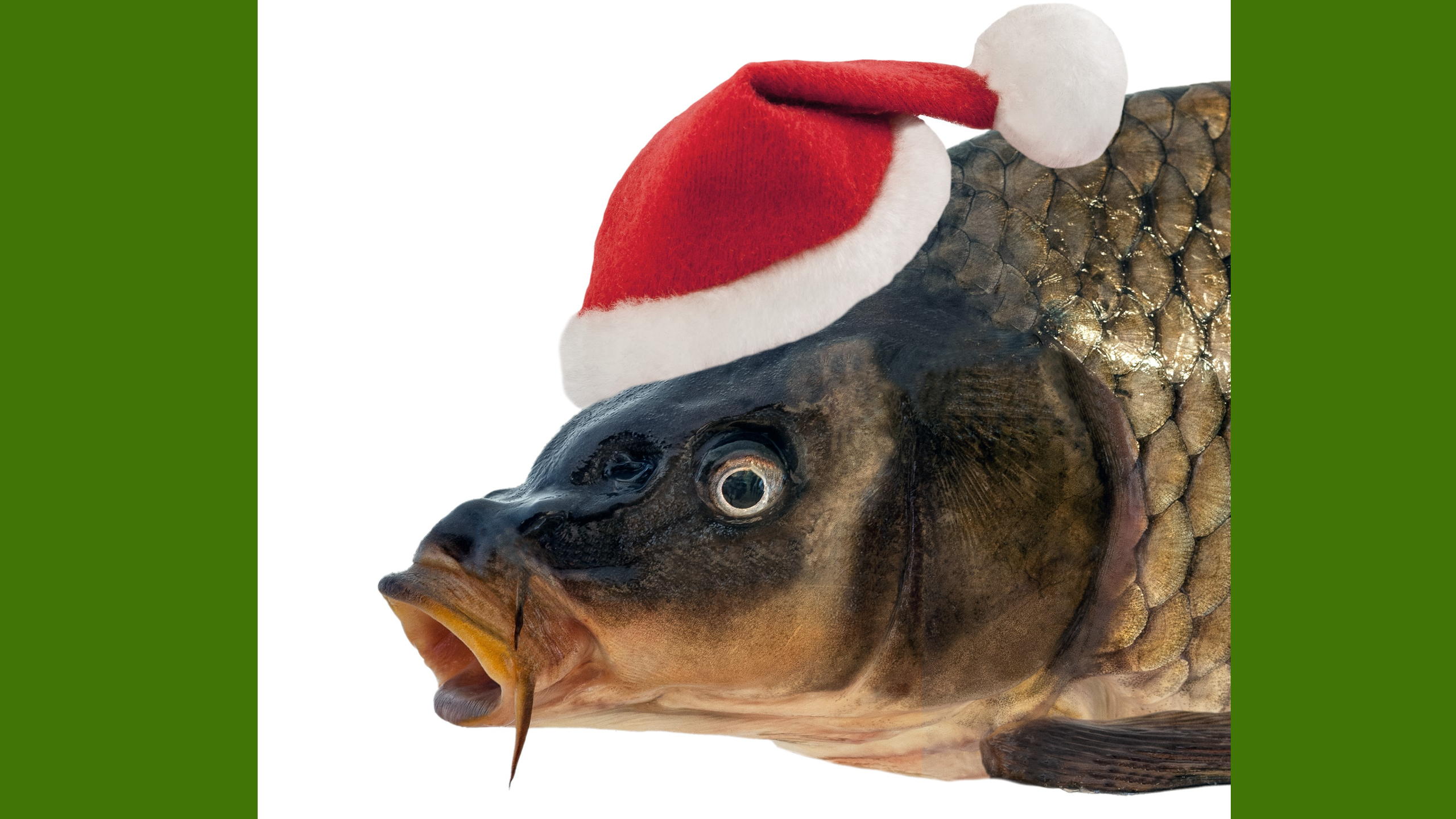 Nem lesz hiány halból a karácsonyi asztalon