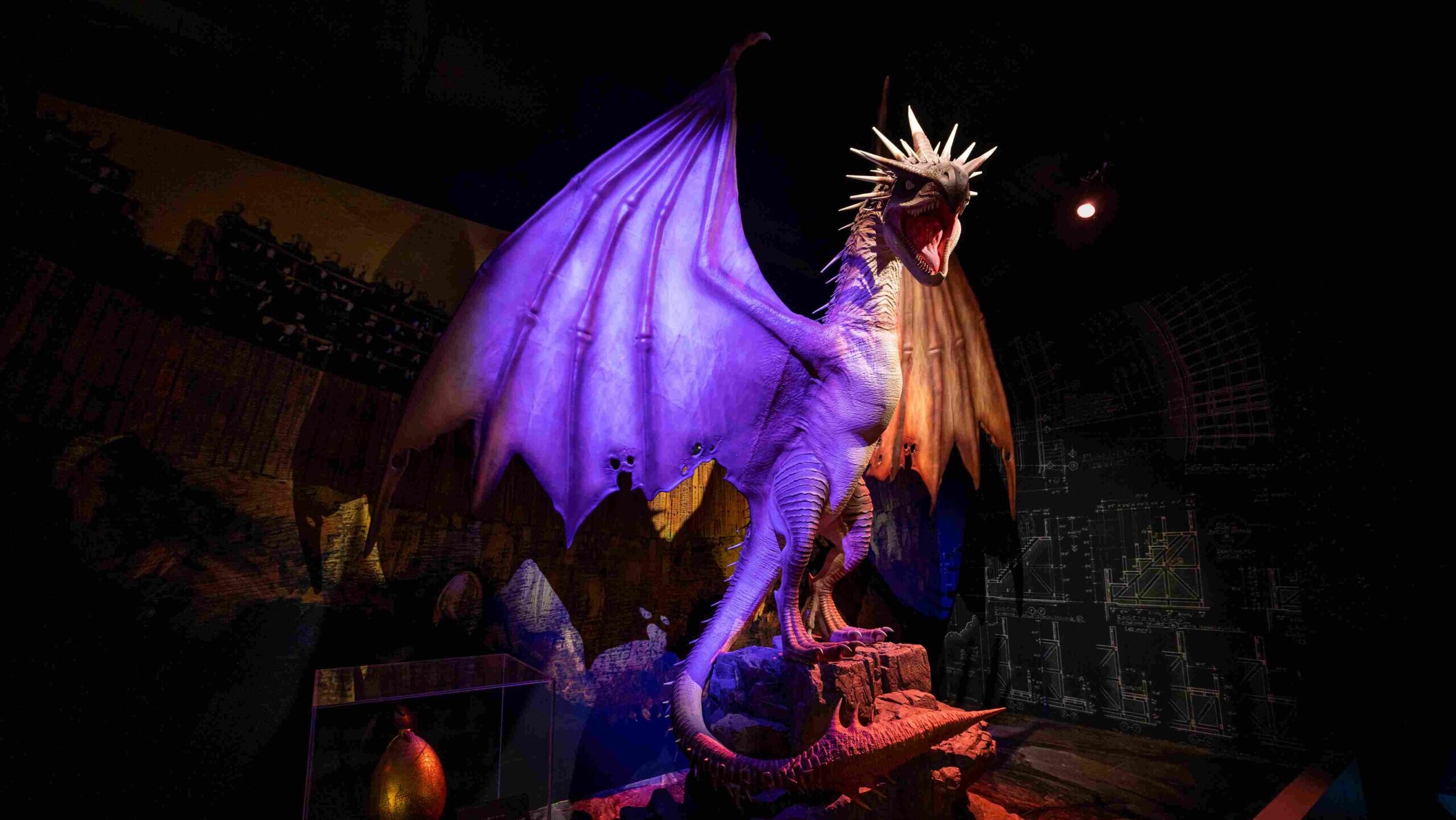 Szentendrén elevenedik meg Harry Potter varázslatos világa