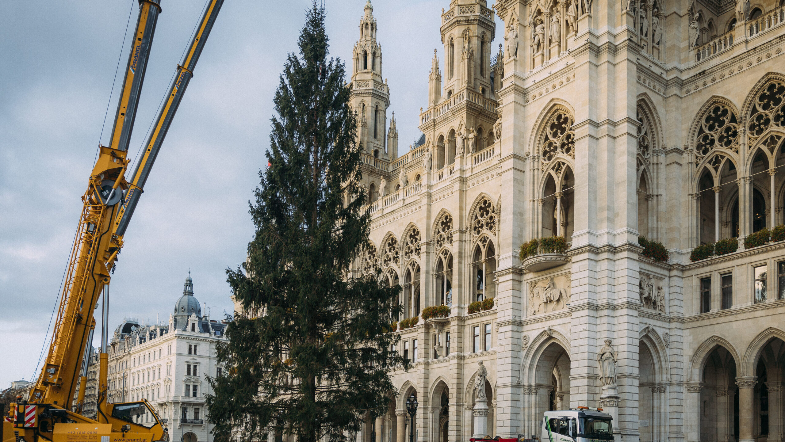 A halloweenon sem vagyunk túl, de van ahol már áll a karácsonyfa