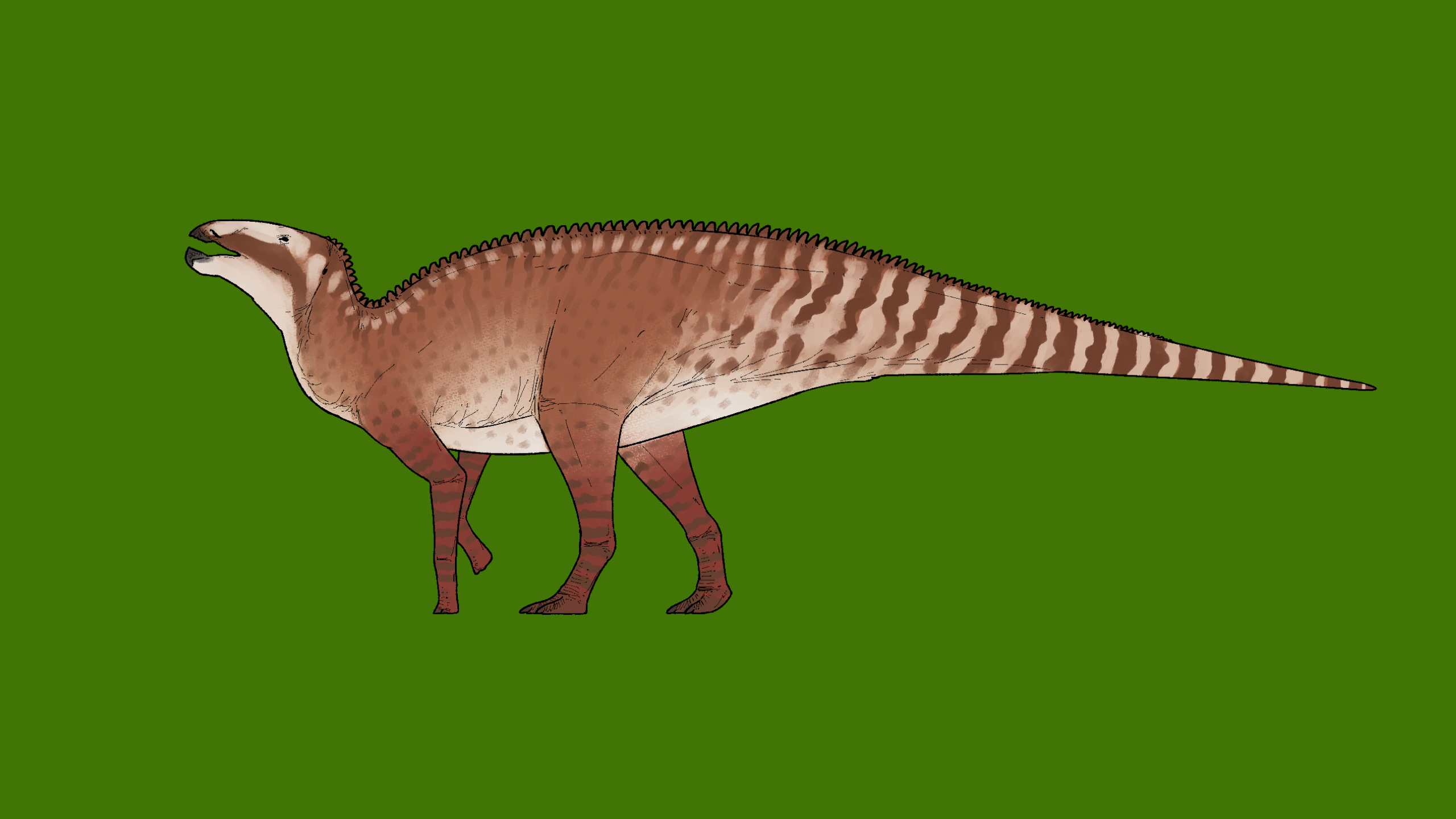 Új dinoszauruszfajt fedeztek fel magyar kutatók