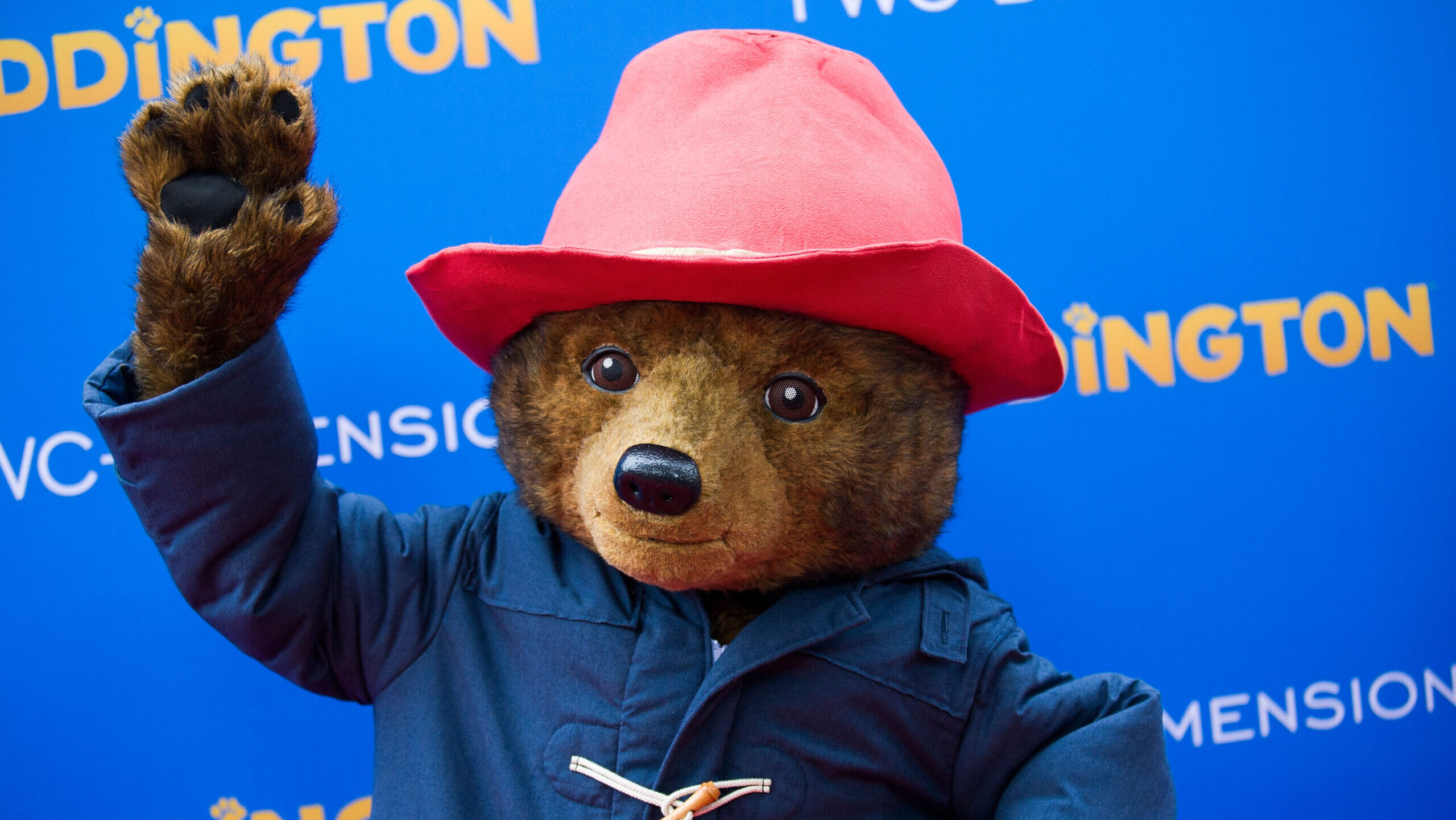 Paddington maci már brit útlevéllel utazhat