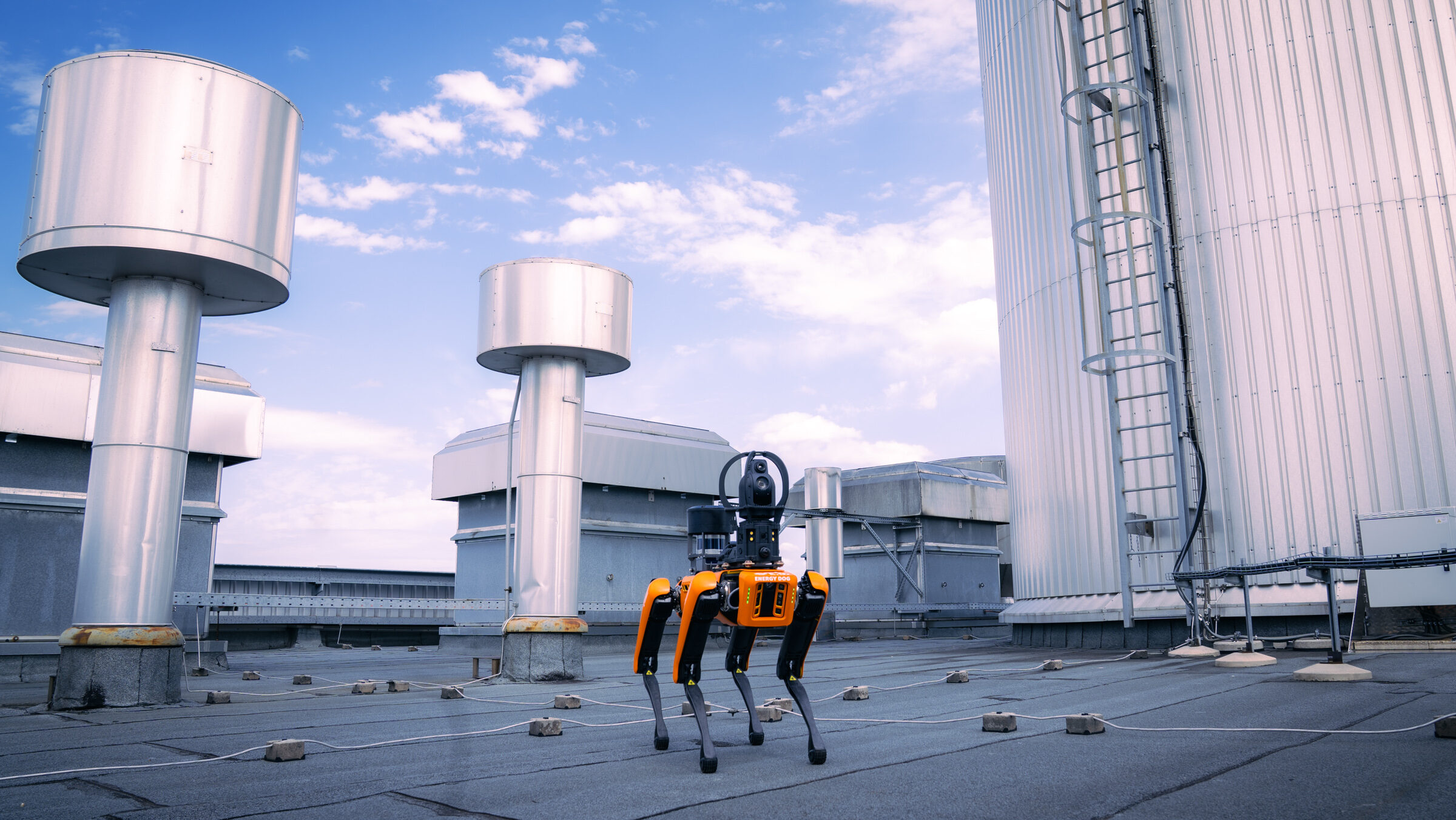 Robotkutyák álltak szolgálatba Bécsben