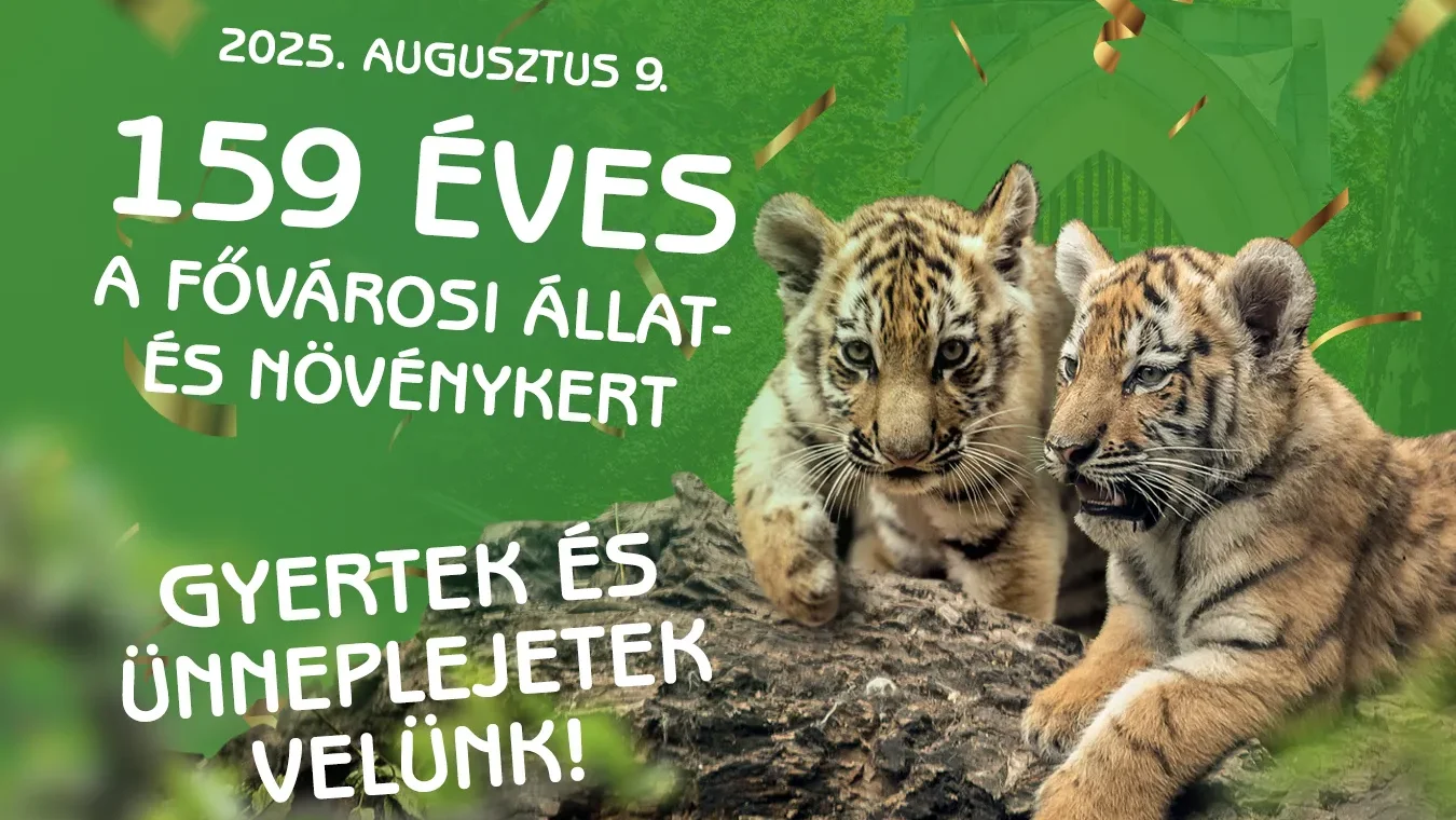 Holnap ünnepli 159. szülinapját az Állatkert