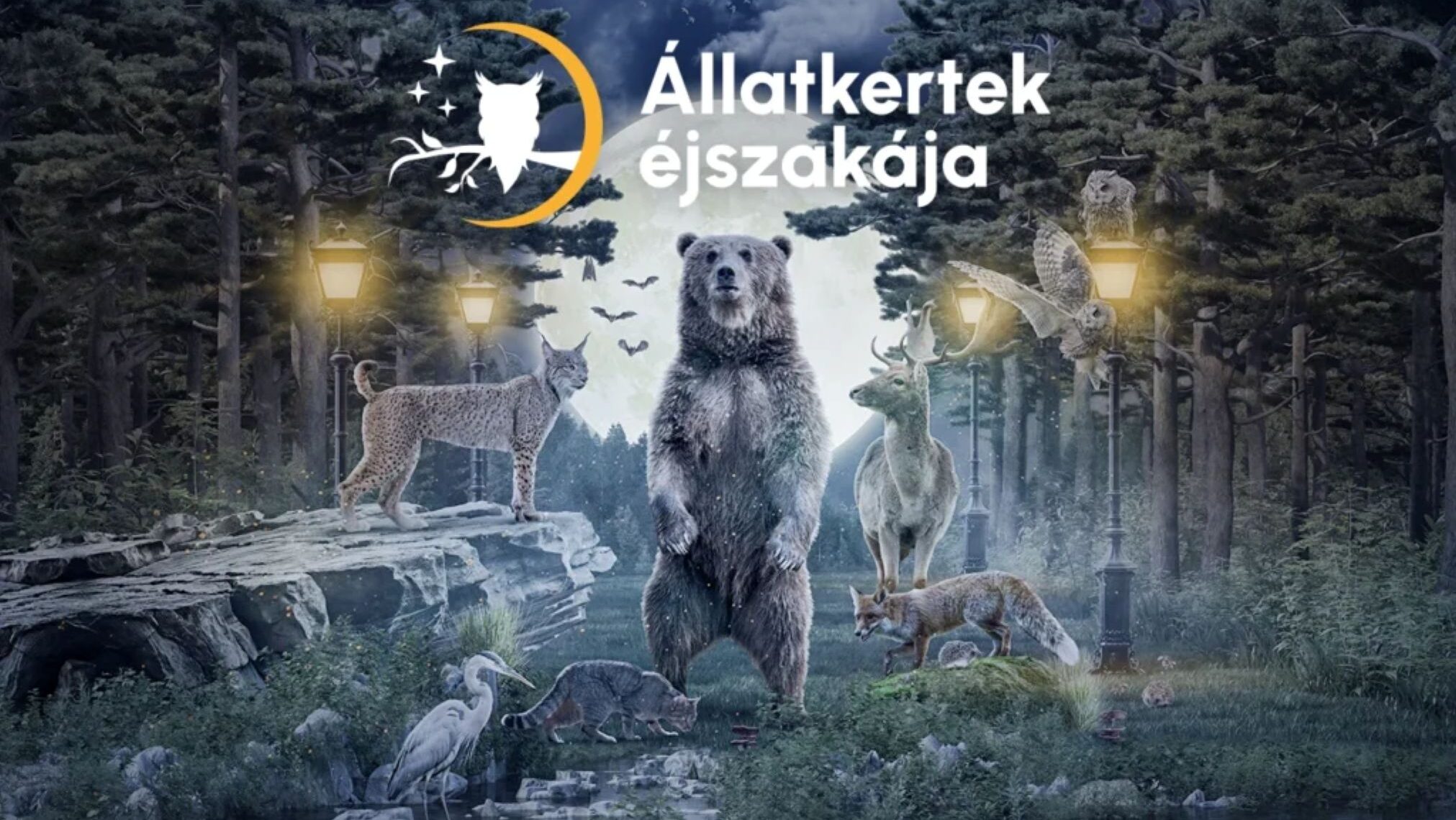Ma este: Állatkertek Éjszakája