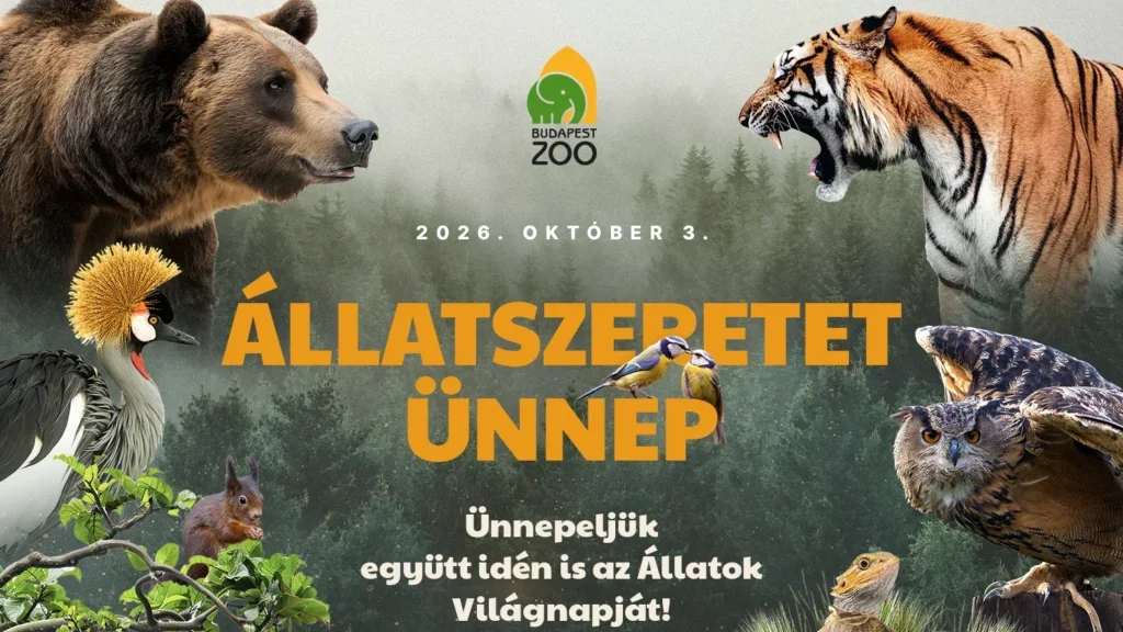 Az állatszeretetről szól a hétvége (is) a Fővárosi Állatkertben