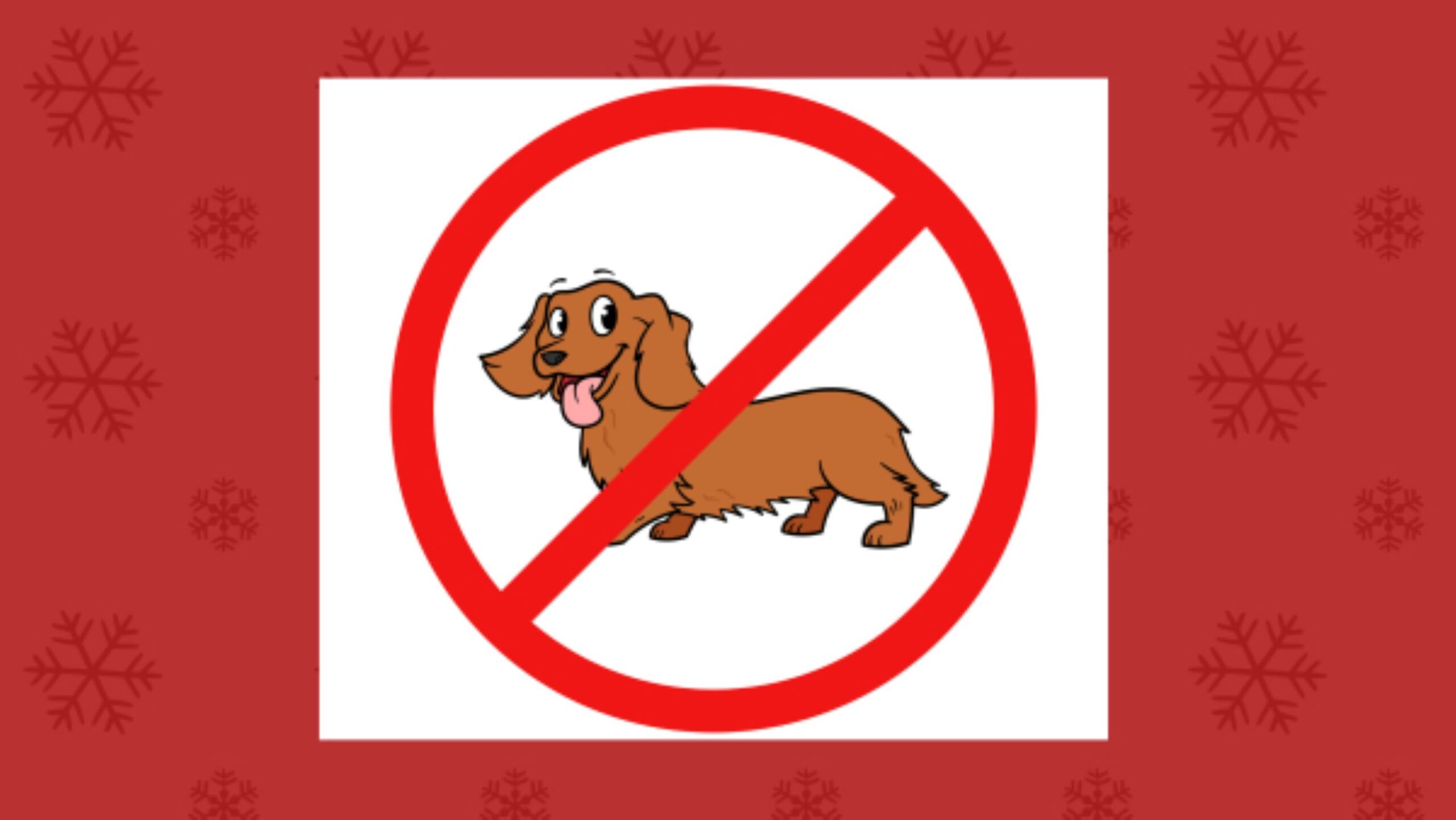 Legyen karácsonykor állatStop!